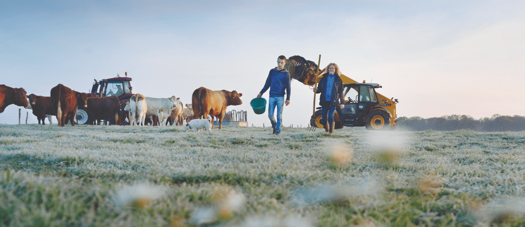 Agence WAT - Ministère de l'agriculture - Valoriser les métiers du vivant