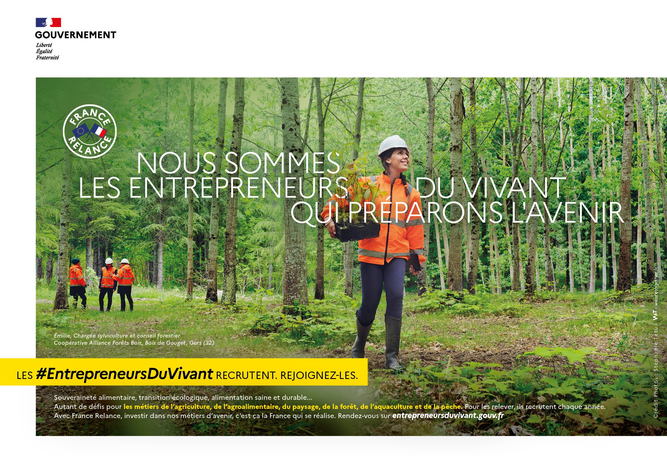 Agence WAT - Ministère de l'agriculture - Affiches A5 - Sylviculture & Conseil forestier